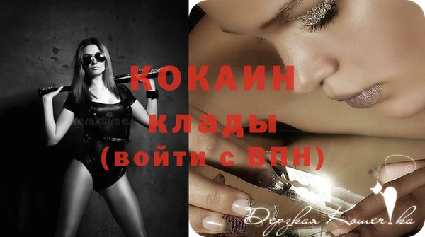 шишки Иннополис