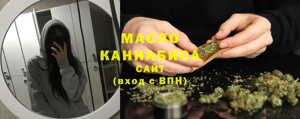 стаф Инсар