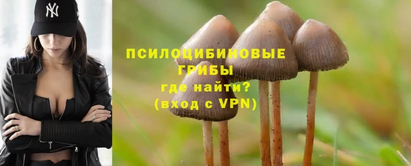каннабис Инта