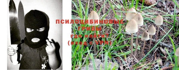 шишки Иннополис