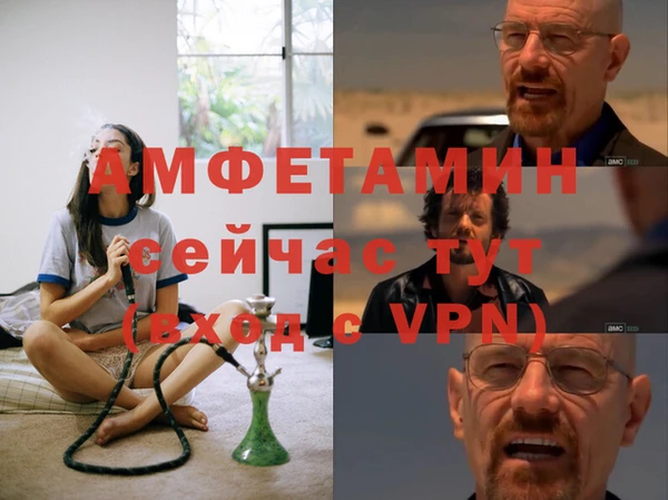 каннабис Инта