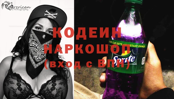 шишки Иннополис