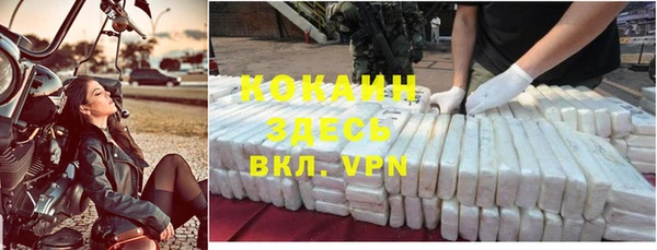 стаф Инсар