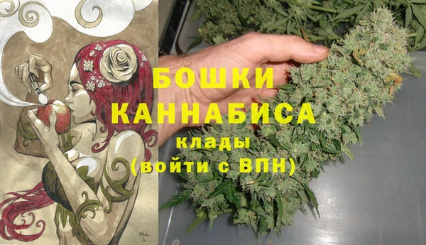 стаф Инсар