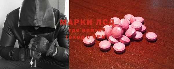 стаф Инсар