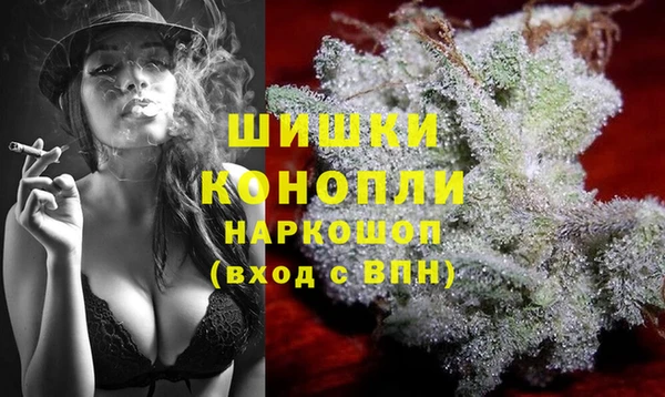шишки Иннополис